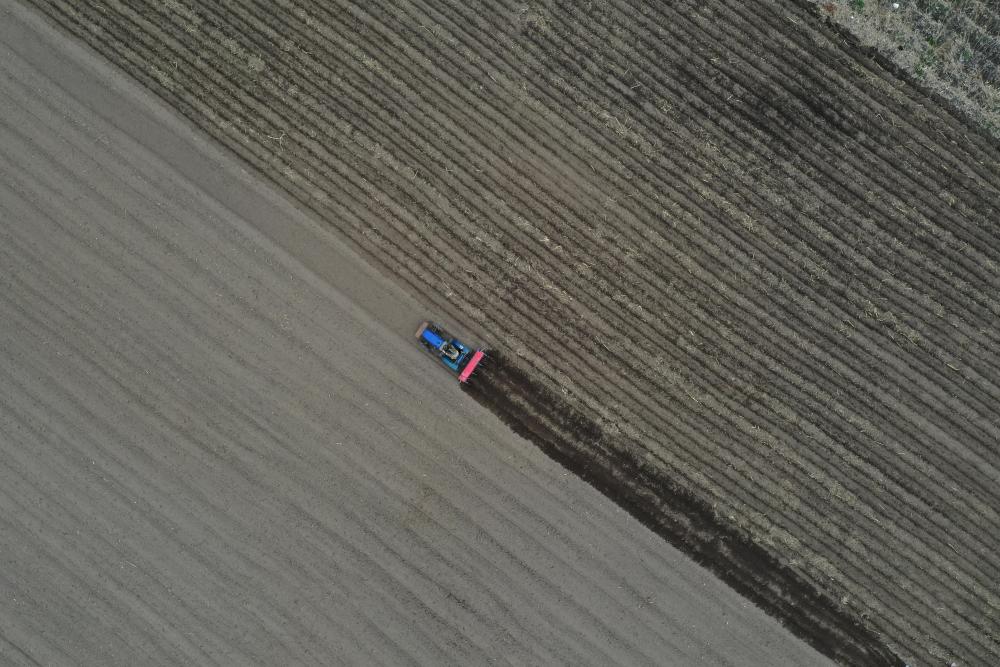 吉林省安圖縣龍山村農(nóng)民在田間播種玉米（5月8日無(wú)人機(jī)拍攝）。新華社記者　林宏　攝